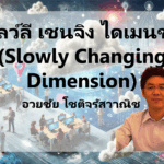 สโลวลี เชนจิง ไดเมนชัน (Slowly Changing Dimension: SCD)
